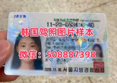 韩国驾照