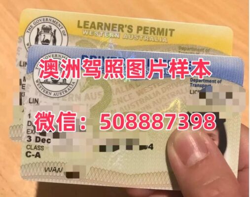 澳洲驾照1